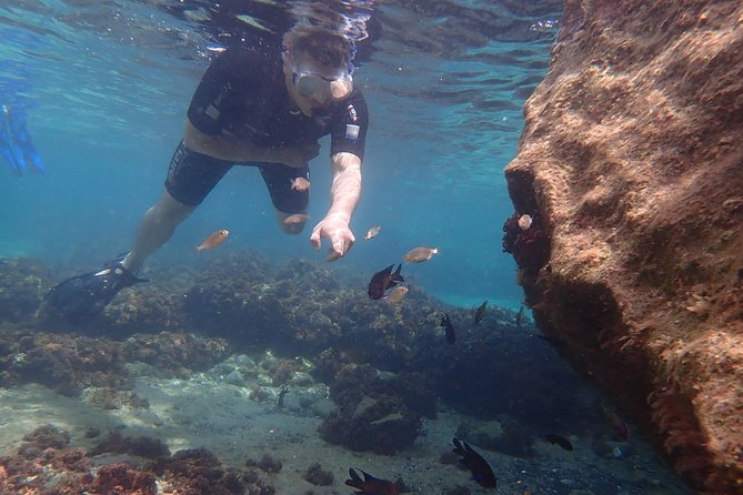 Porto Santo Snorkeling Tour - Customer Reviews and Ratings