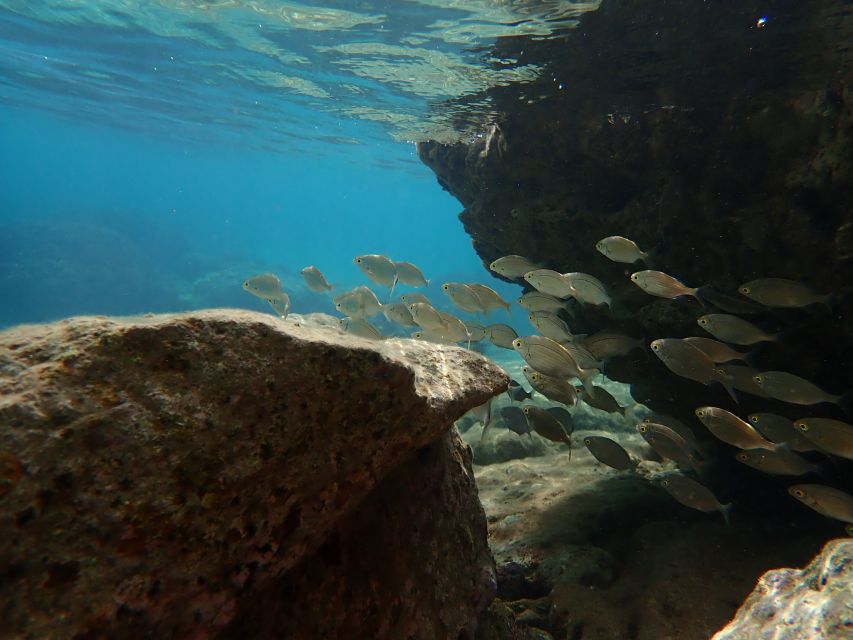 Porto Santo: Snorkeling Tour - Underwater Exploration