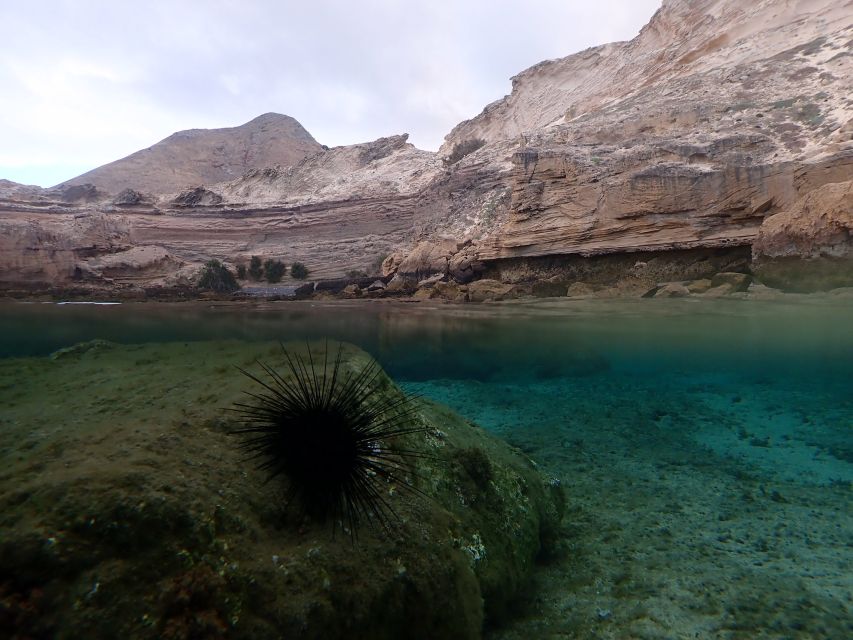 Porto Santo: Snorkeling Tour - Guide and Language Options