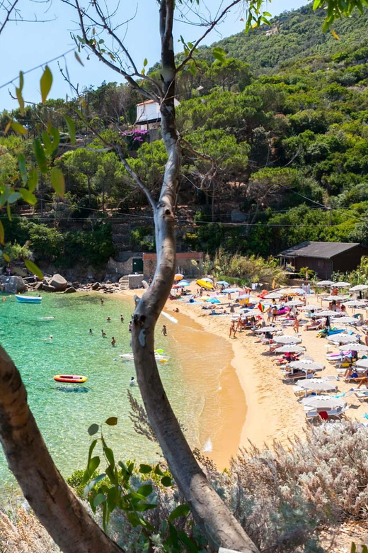 Porto Santo Stefano: Argentario Luxury Yacht Excursion - Key Points