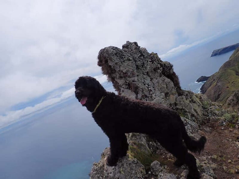 Porto Santo: Terra Chã and Pico Branco Hiking tour - Frequently Asked Questions
