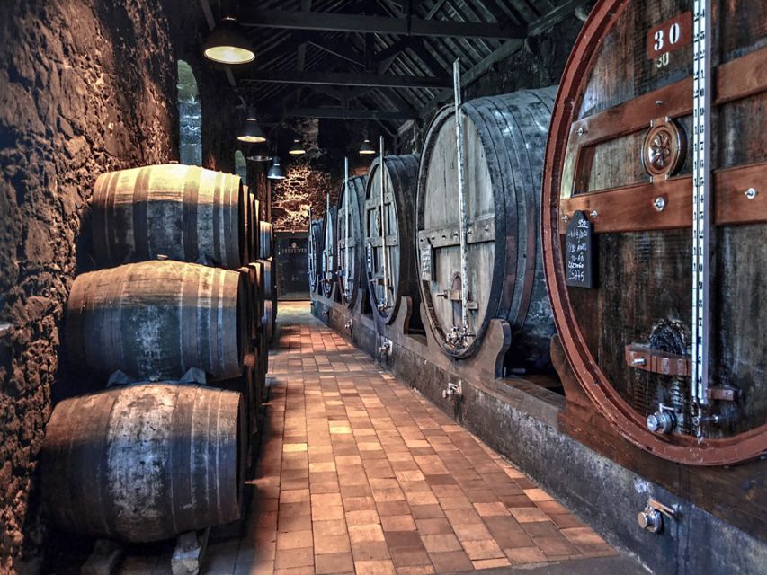 Porto: Self-Guided Bike and Boat Tour With Port Wine Tasting - Douro River Cruise