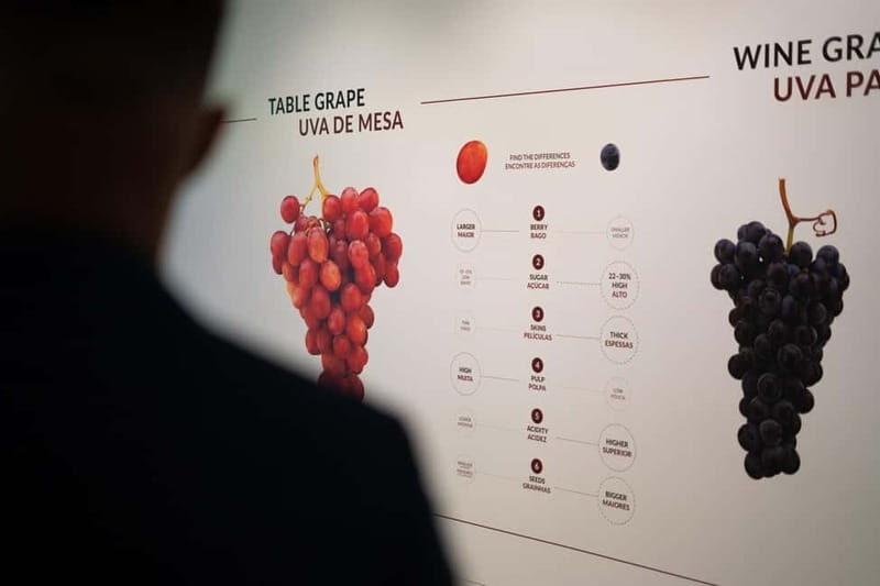 Porto: Taylors Port Cellar Tour & WOW Wine Experience - Key Points