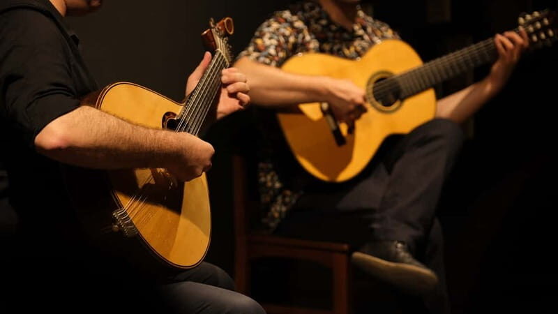 Porto: The highest-rated traditional fado concert (downtown) - The Artists and Their Craft