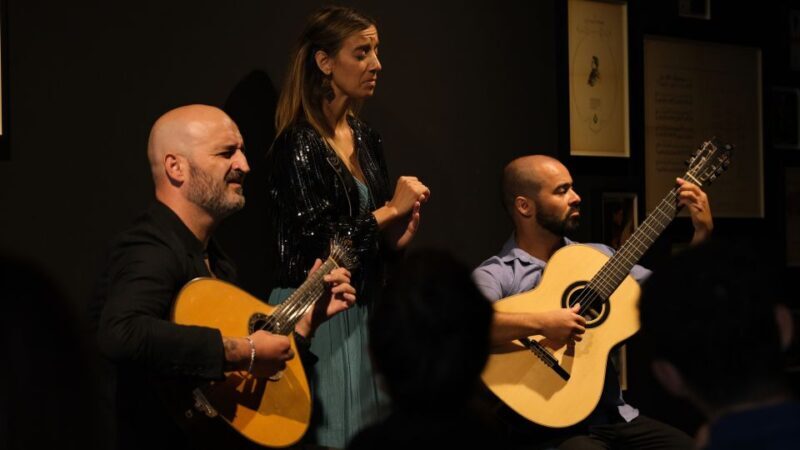 Porto: The highest-rated traditional fado concert (downtown) - Authenticity and Audience Experience
