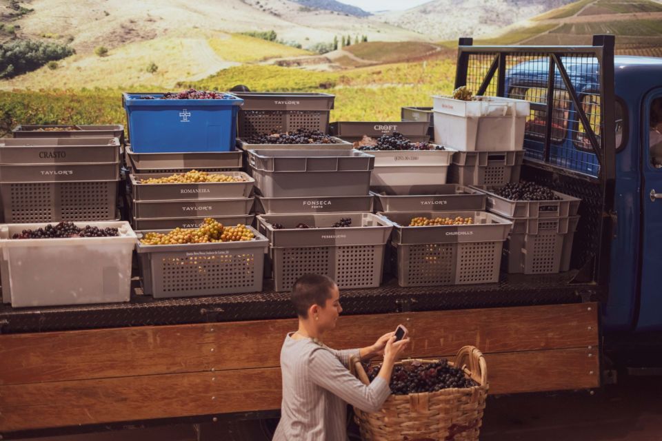 Porto: The Wine Experience Entry Ticket & Tasting at WOW - Accessibility and Policies