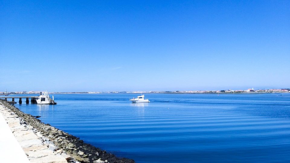 Porto to Lisbon Private Tour, Choose 2 or 3 Stops on the Way - Key Points