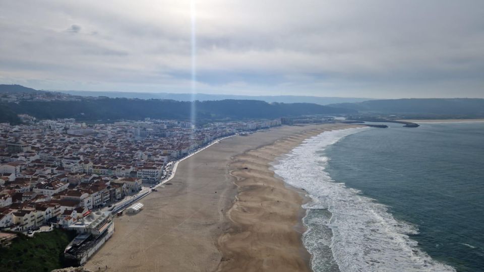 Porto to Lisbon With Aveiro-Coimbra-Fátima-Nazaré-Óbidos - Driver and Vehicle Information