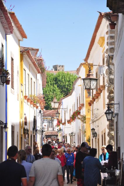 Porto to Lisbon With Aveiro-Coimbra-Fátima-Nazaré-Óbidos - Sightseeing Highlights