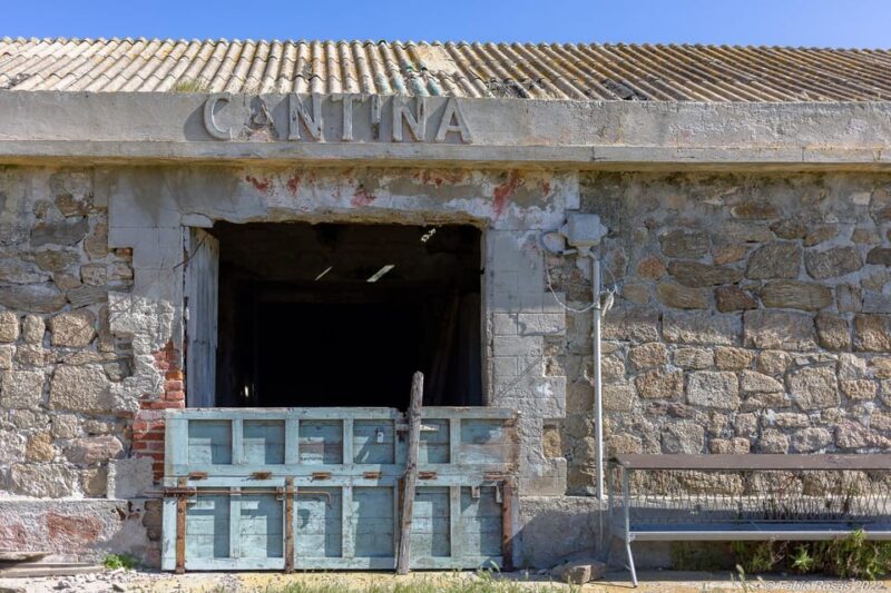 Porto Torres: Rent Your Mountain Bike to Discover Asinara - Additional Services and Customization