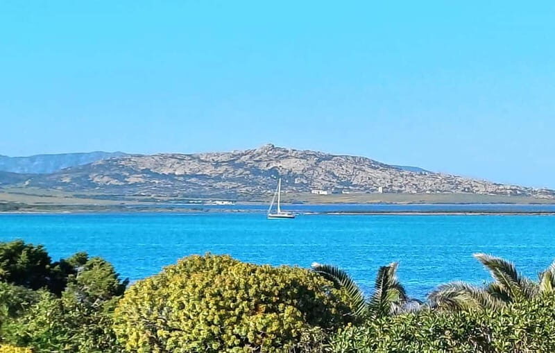 Porto Torres & Stintino: Romantic Experience Sail at Sunrise - Key Points