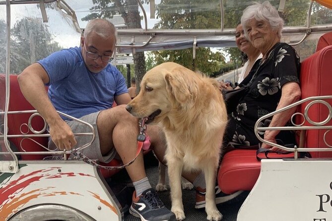 Porto: Tuk Tuk Adventure Tours Old Town 1h - Accessibility Features