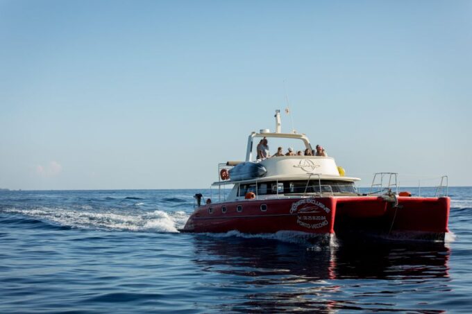 Porto-Vecchio: Catamaran Cruise - Lavezzi Islands - Customer Feedback