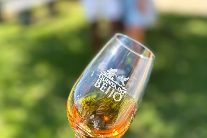 Porto Wine Tasting With GUIDED TOUR - Cancellation Policy