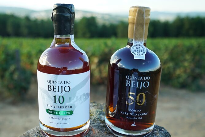 Porto Wine Tasting With GUIDED TOUR - Traveler Photos