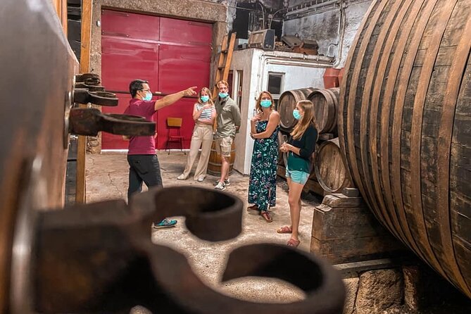 Porto Wine Tasting With GUIDED TOUR - Reviews