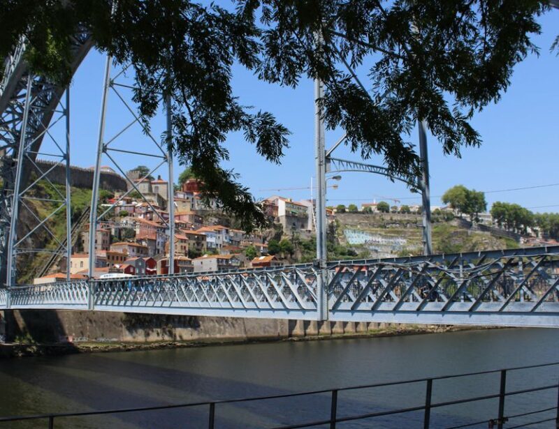Porto: Wine Tasting with Tapas Walking Tour - The Sum Up