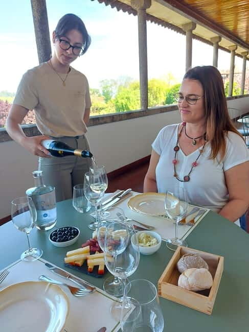 Porto: Wine Tastings (Green Wine) & Lunch & Porto Old Tour - Who Would Love This Tour?