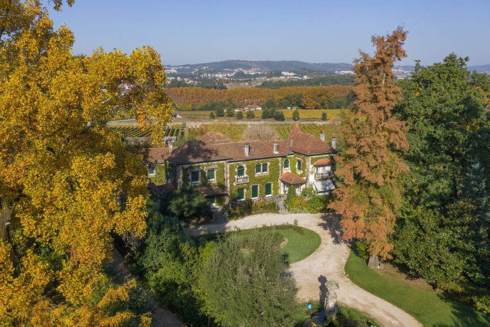 Porto: Wine Tastings (Green Wine) & Lunch & Porto Old Tour - Traditional Lunch With Wine Tasting