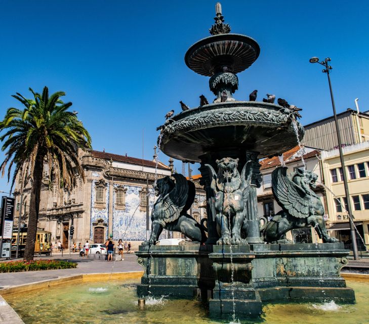 Porto: Wine Tour & One Hour Fado Show | All Included - Highlights of the Experience