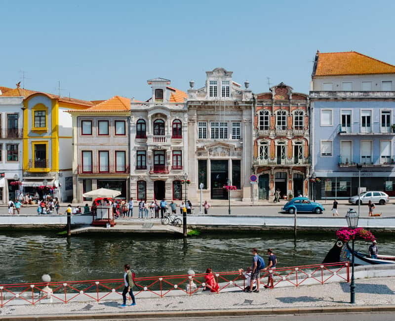 Porto:Aveiro, Cruise, Costa Nova & Capelha da Pedra Full Day - Authentic Experiences and Traveler Feedback