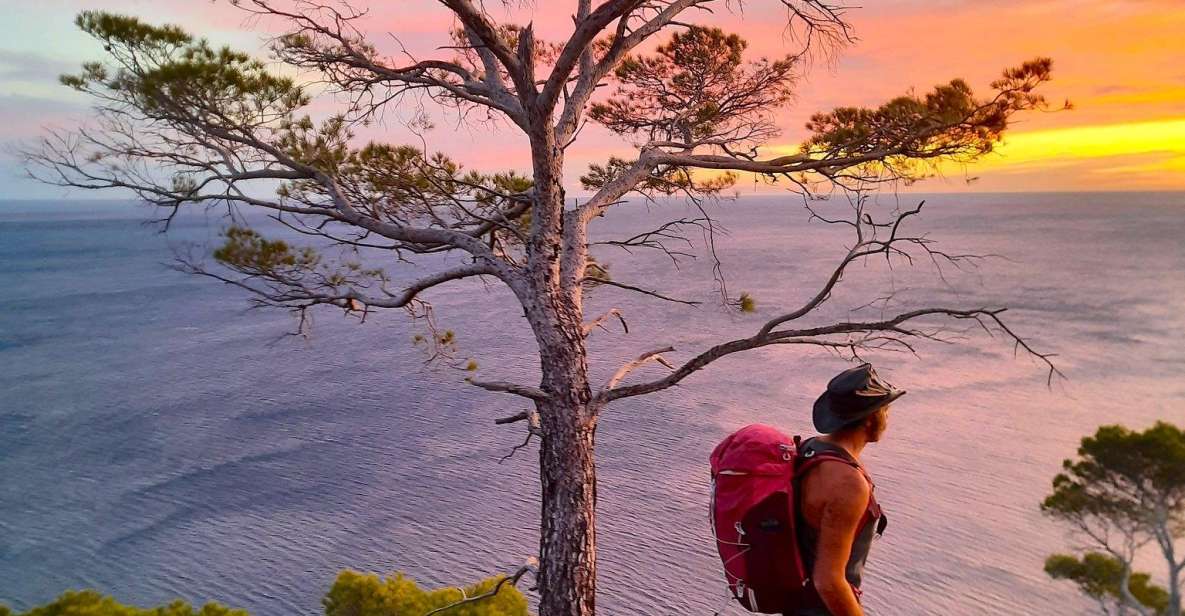 Portofino: Guided Mountain Hike With Ice Cream - Key Points