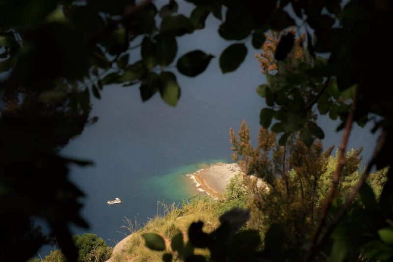Portofino Park: Guided Eco-Hike & Sea-View Tasting - Key Points