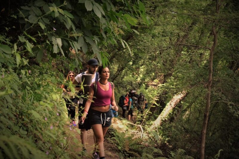 Portofino Park: Guided Eco-Hike & Sea-View Tasting - Itinerary Details