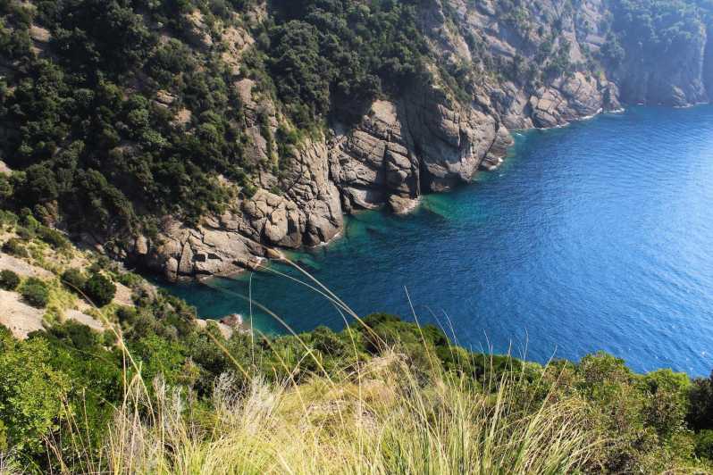Portofino Park: Guided Eco-Hike & Sea-View Tasting - Experience Highlights