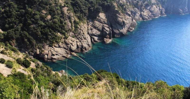 Portofino Park: Guided Eco-Hike & Sea-View Tasting - Participant Requirements
