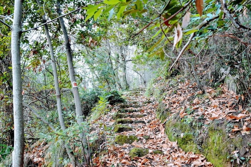 Portofino Park: Hiking Guided Tour to S. Fruttuoso - Key Points