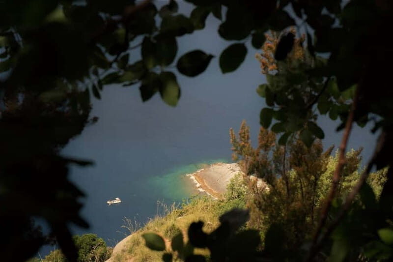 Portofino Park: Hiking Guided Tour to S. Fruttuoso - The Value of the Tour: What You Get for Your Money