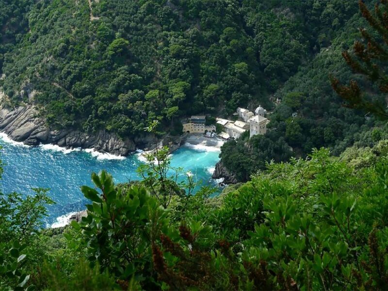 Portofino Park Trekking- Discover San Fruttuoso Bay - Key Points