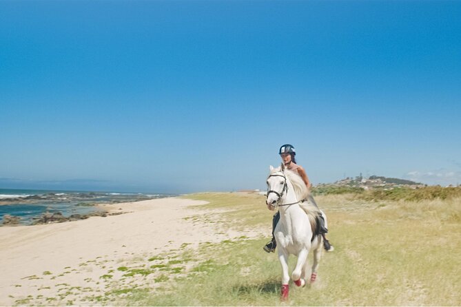 Portugal Horseback Riding Tour On The Beach - Tour Reviews and Ratings