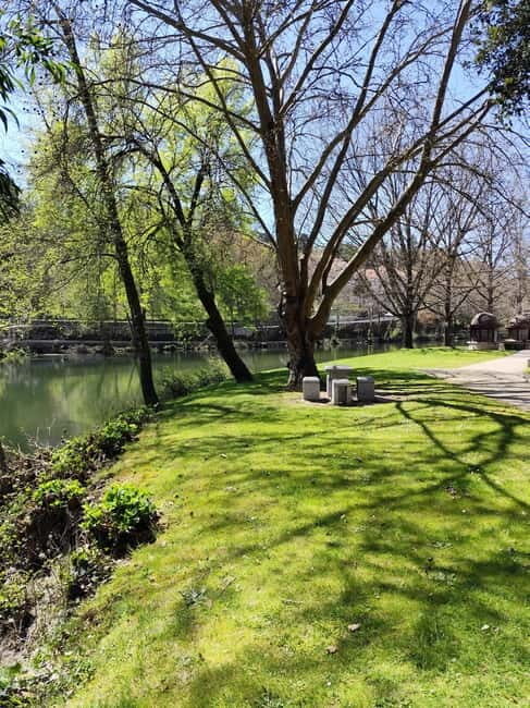 Portugal: Lafões Region Day Tour with Food and Wine Tasting - What to Expect from the Tour