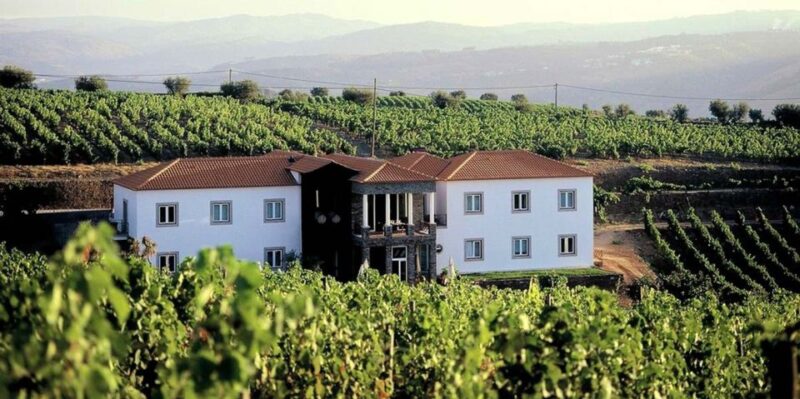 Portugal: Premium Bike Tour Atlantic Coast to Douro Valley - Participant Restrictions