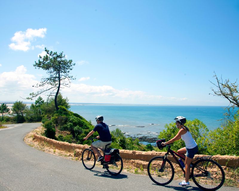 Portugal: Premium Bike Tour Atlantic Coast to Douro Valley - Key Points