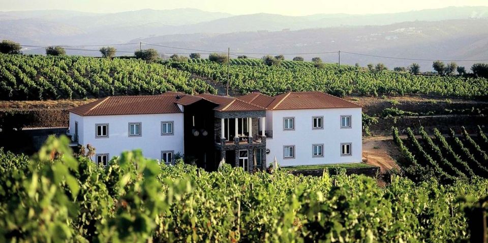 Portugal: Premium Bike Tour Atlantic Coast to Douro Valley - Ponte De Lima and Douro Valley