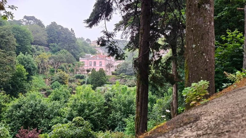 Portugal: Private 10-Day Van Tour - What Travelers Say