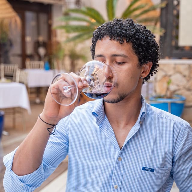 PORTUGUESE WINE TASTING IN THE HEART OF FARO - Portuguese Wine Tasting in the Heart of Faro: An Authentic Journey Through Portugal’s Wine Regions