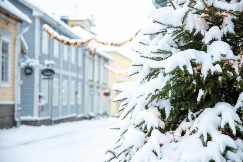 Porvoos Christmas Magic and Traditions Tour - What Makes This Tour Stand Out?