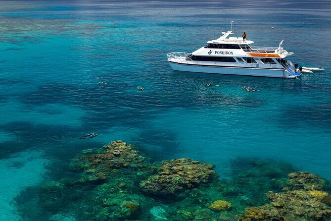 Poseidon Outer Great Barrier Reef Snorkeling and Diving Cruise from Port Douglas - Possible Considerations