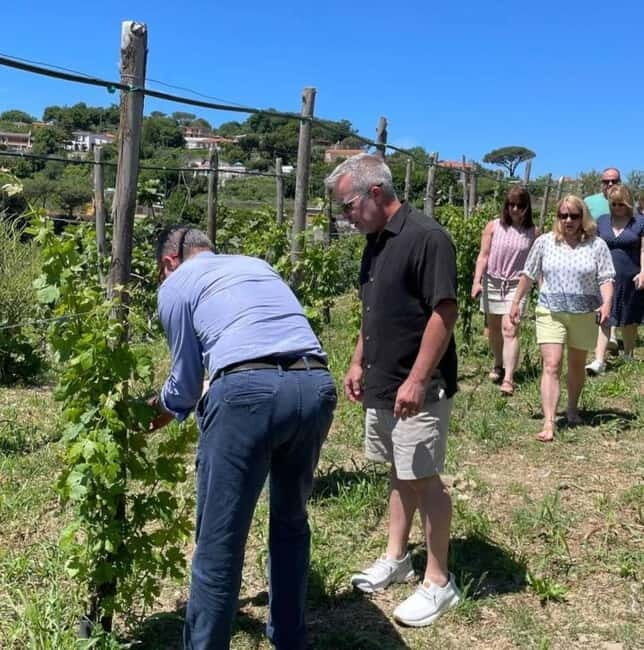 Positano: Cooking class and tasting with a view of the Galli Islands - Frequently Asked Questions