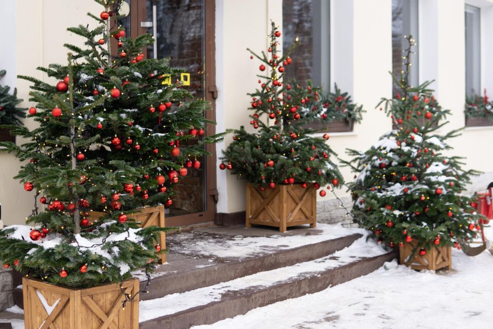 Positano's Christmas Splendor: A Festive Cultural Walk - Exploring Seasonal Decorations and Culture