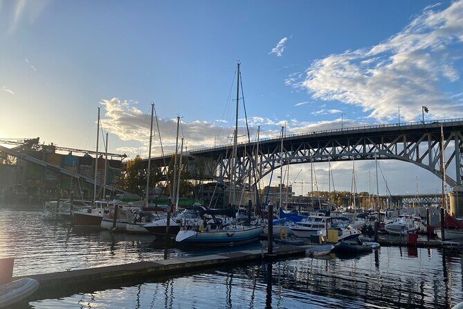 Post Cruise Vancouver Private Car Tour - Transportation and Comfort