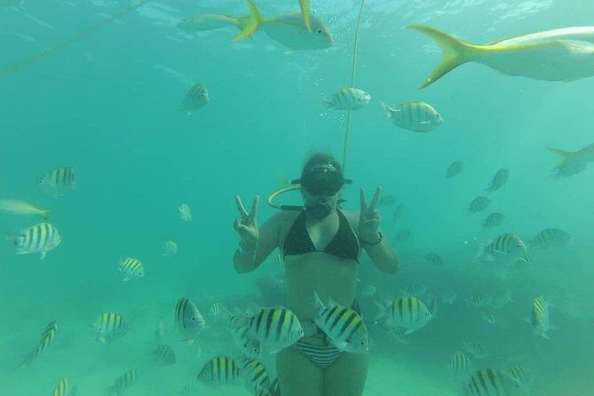 Power Shore Adventure Power Fly - Final Thoughts: Is It Worth It?