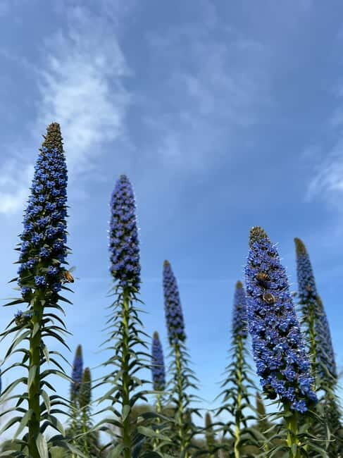 Pozzo Faceto: botanical garden - Key Points