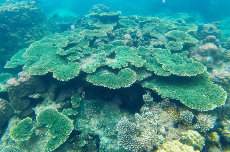 PQ: Speedboat Tour to 3 Islands in the South (CANO TRIP) - Inclusions and What to Bring