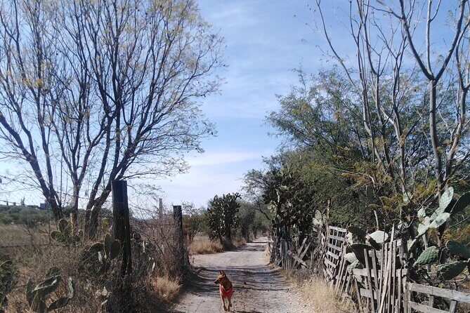 Practice your Spanish and let's go hiking! - The Sum Up: Why This Tour Is a Smart Choice