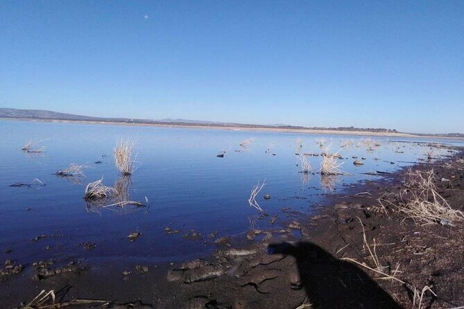 Practice your Spanish and let's go hiking! - FAQ